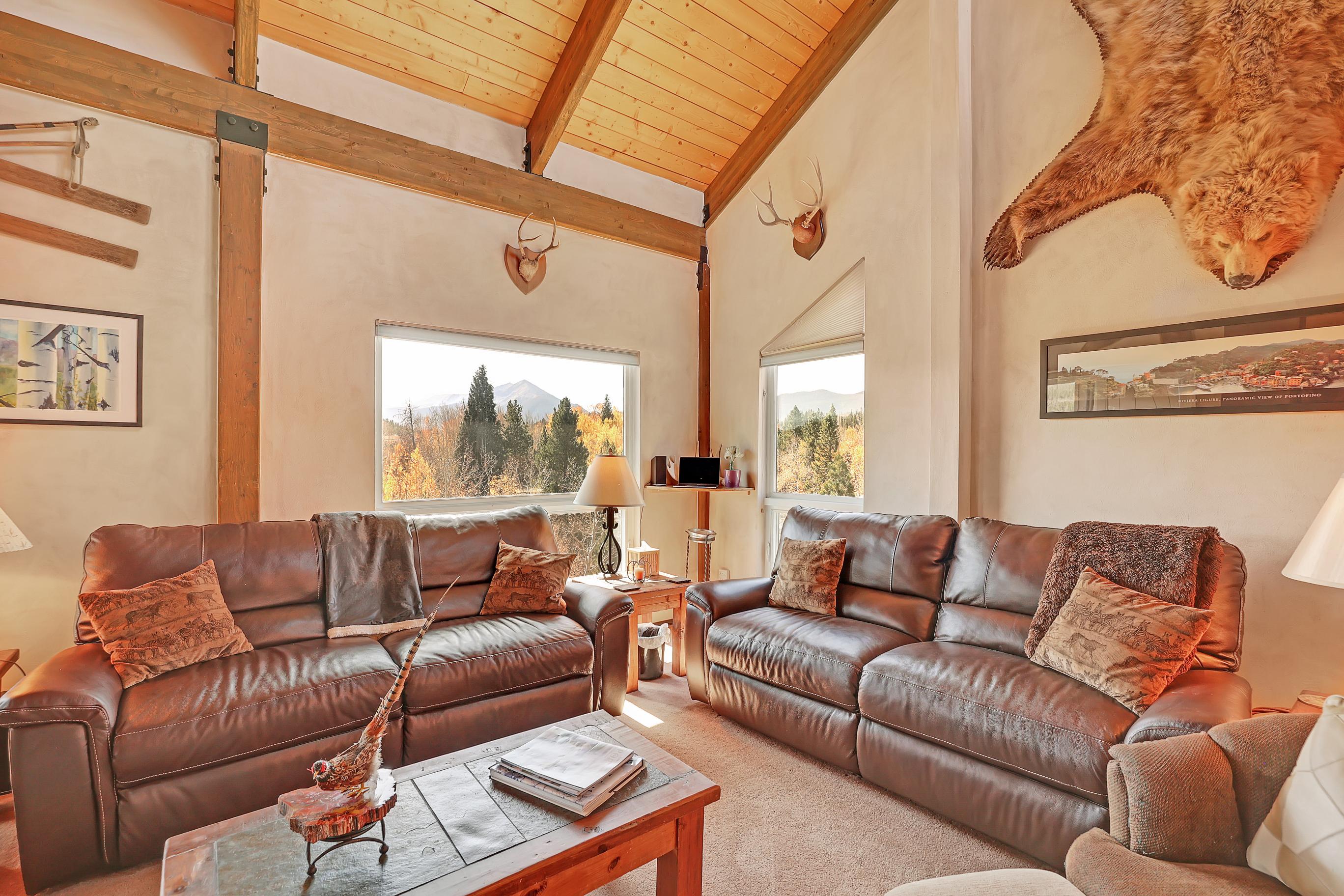 Check out the incredible mountain and forest views from these windows!
