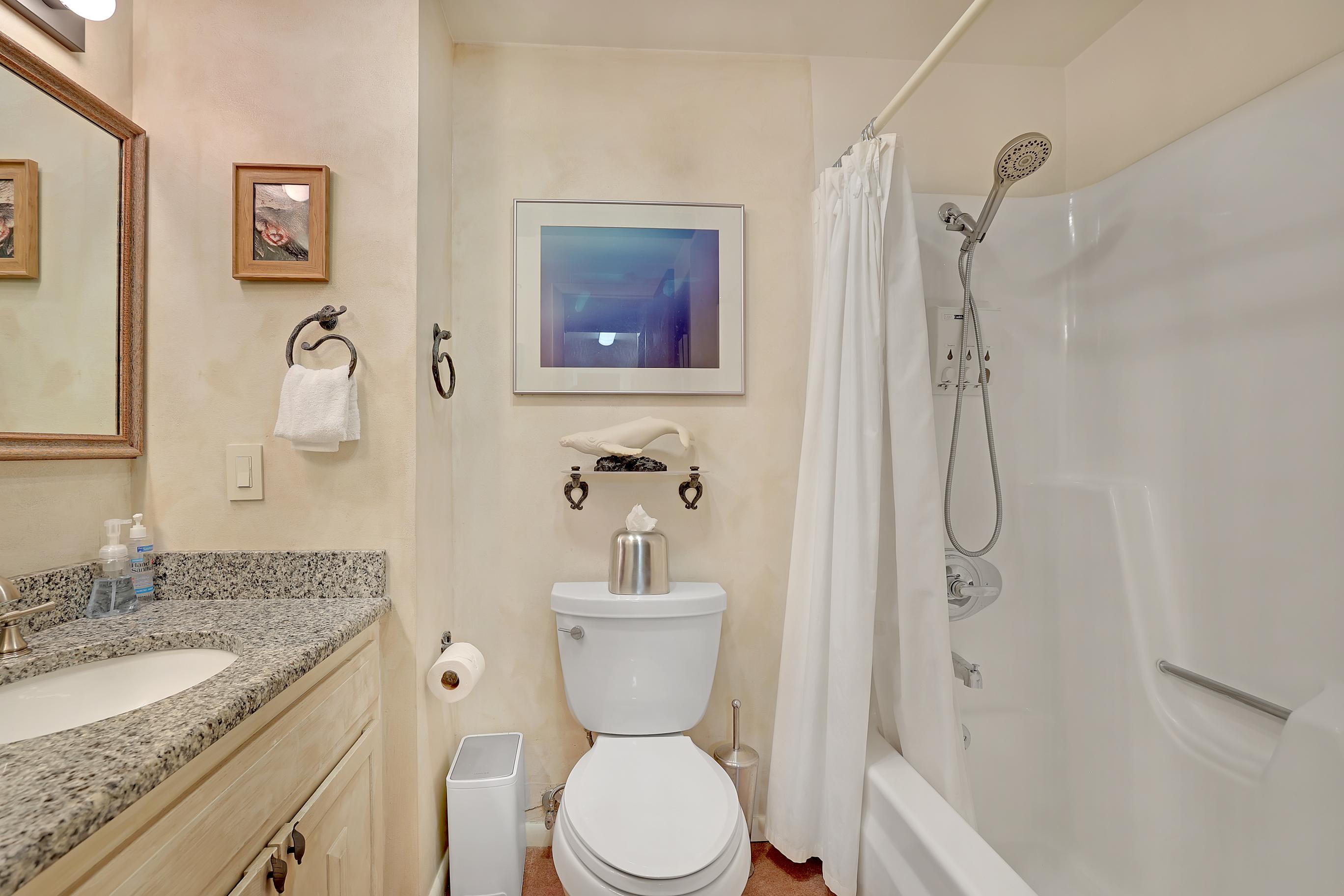 Main floor full bath with tub/shower combo and double vanity.