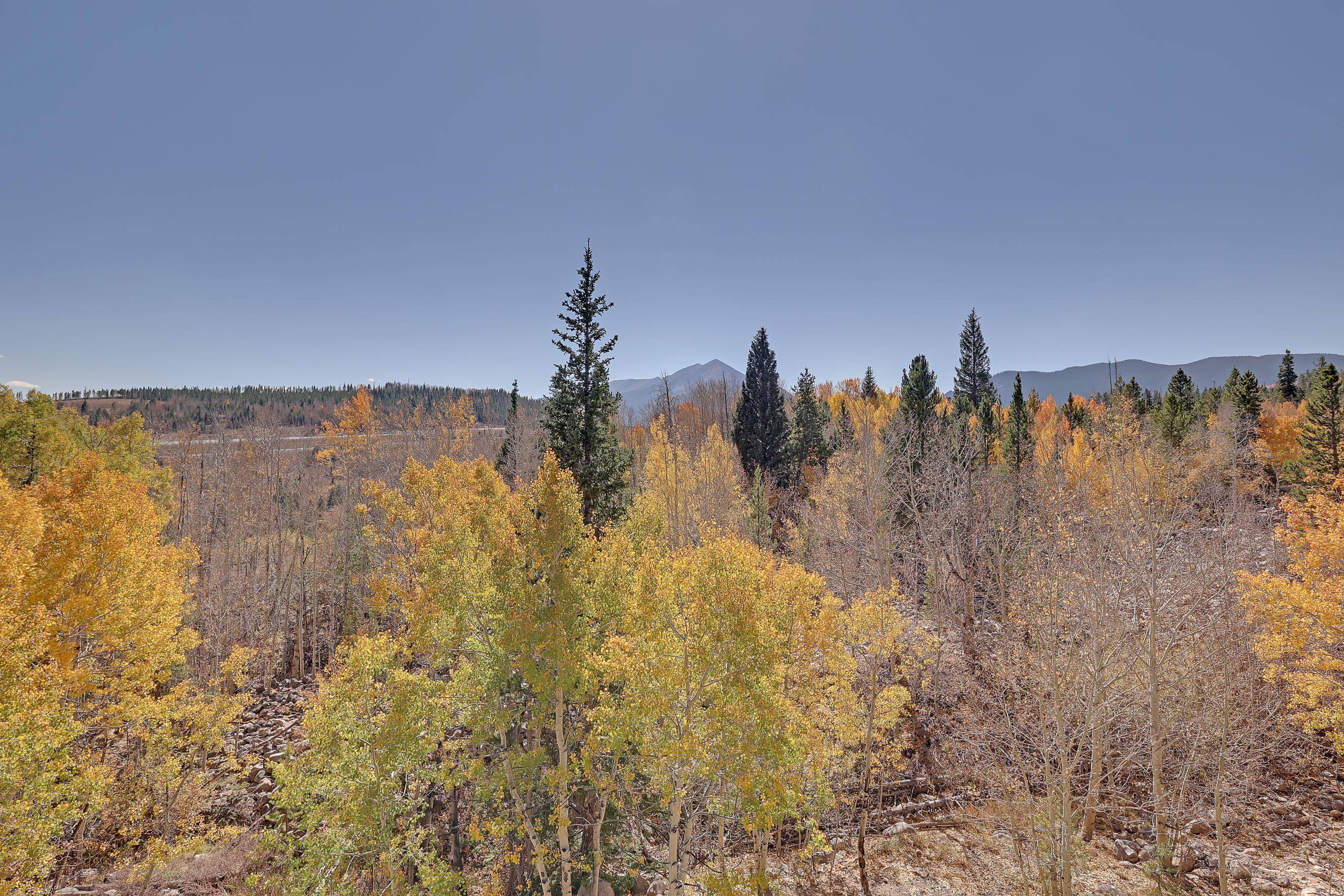 Catch the unobstructed views of the trees changing and see wildlife from your windows!