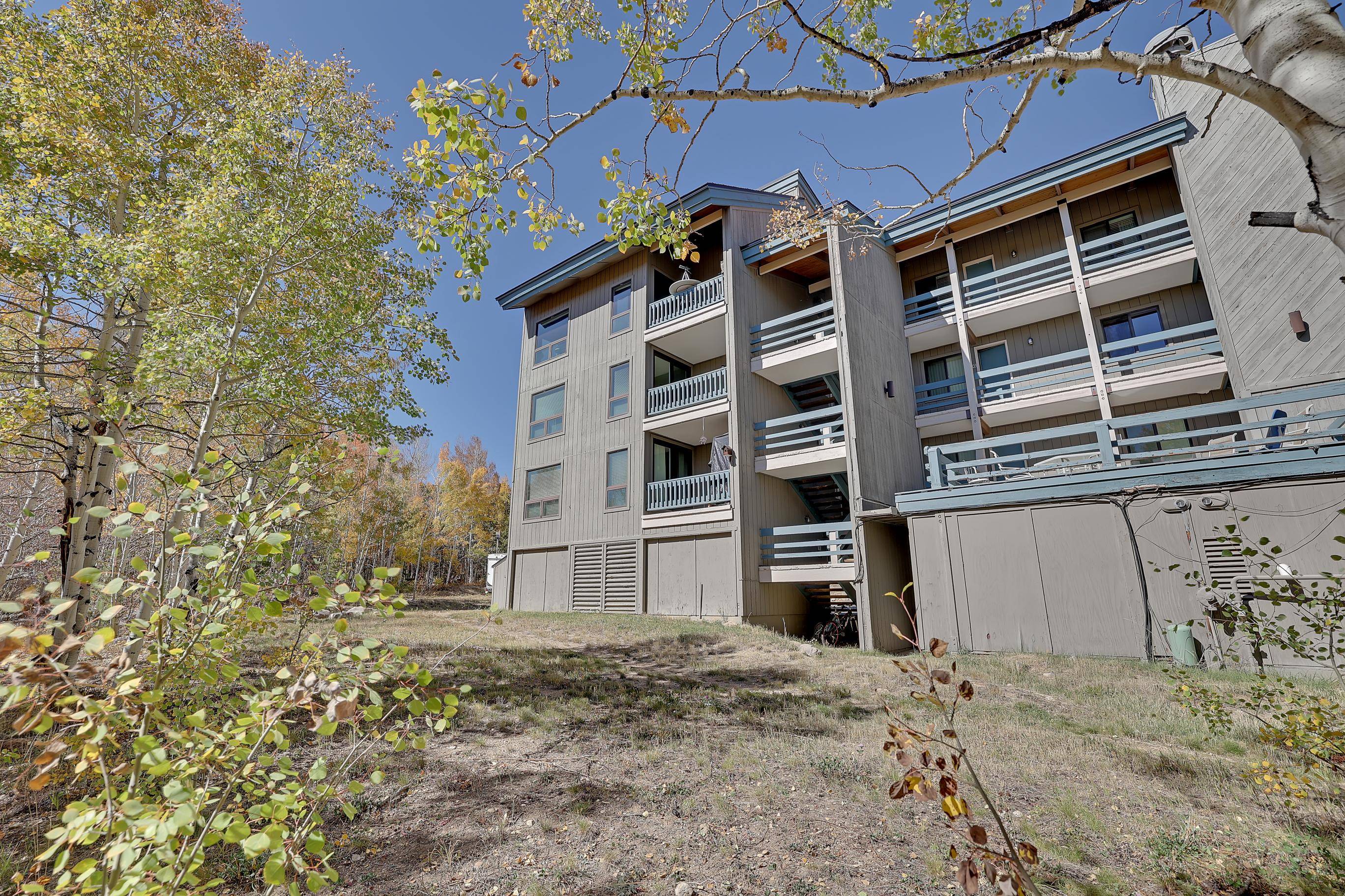 This condo borders White River National Forest trails and is steps from the Salt Lick Trailhead and Lily Pad Lake Trail