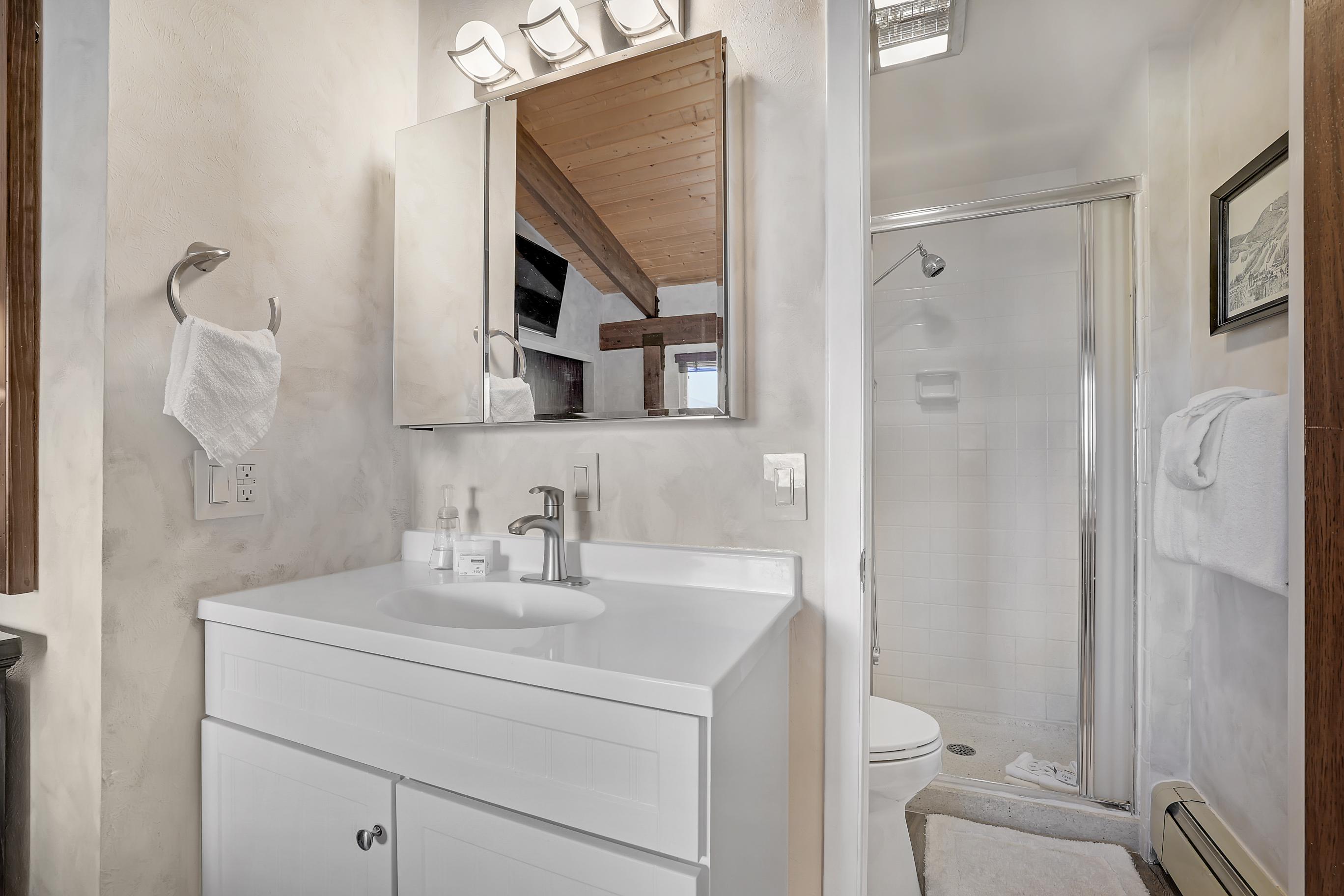 Ensuite bathroom with shower, toilet, and vanity. Shampoo, conditioner, and soap provided.
