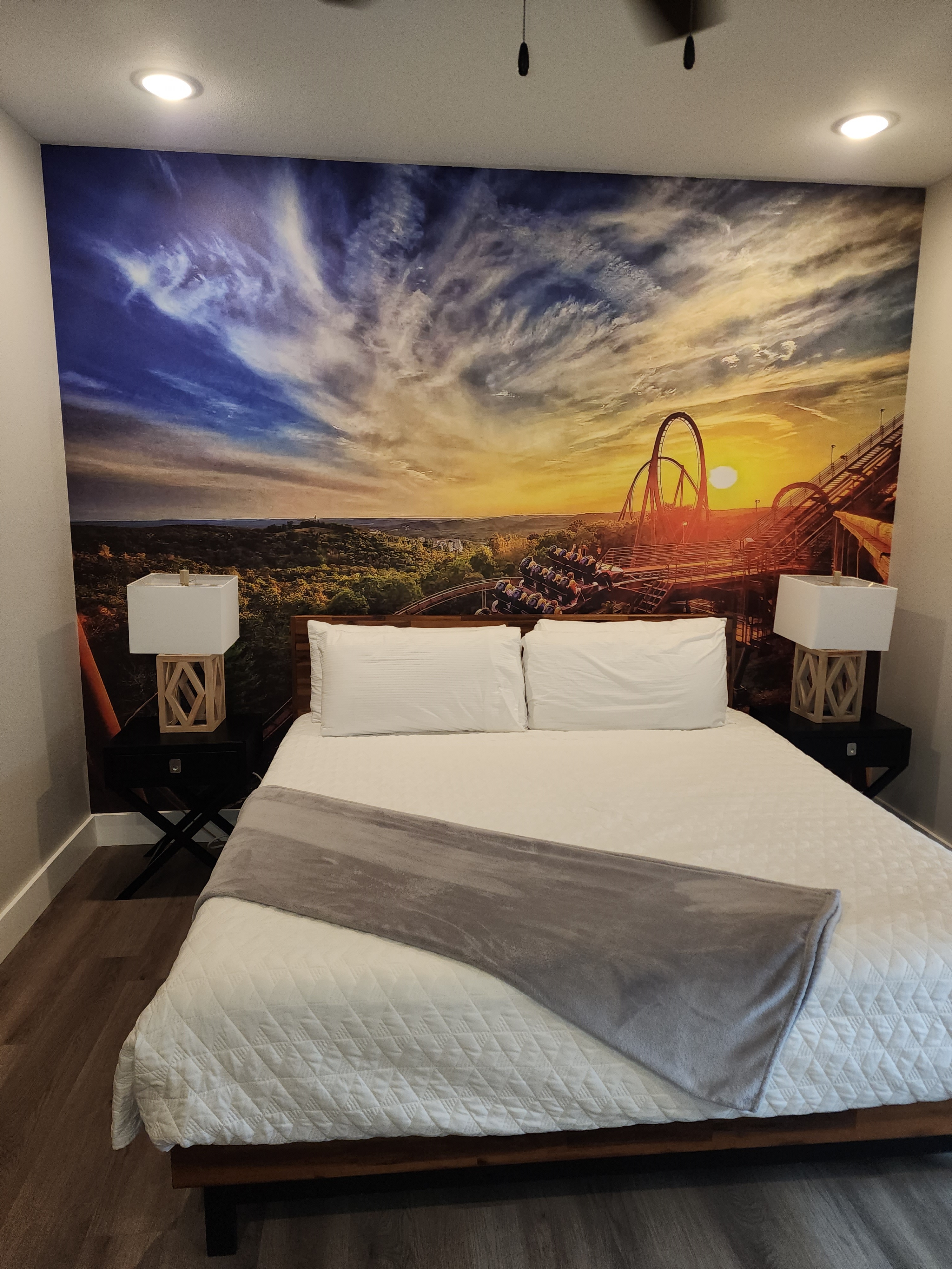 Professional photos coming soon! Wildfire Themed King Bedroom