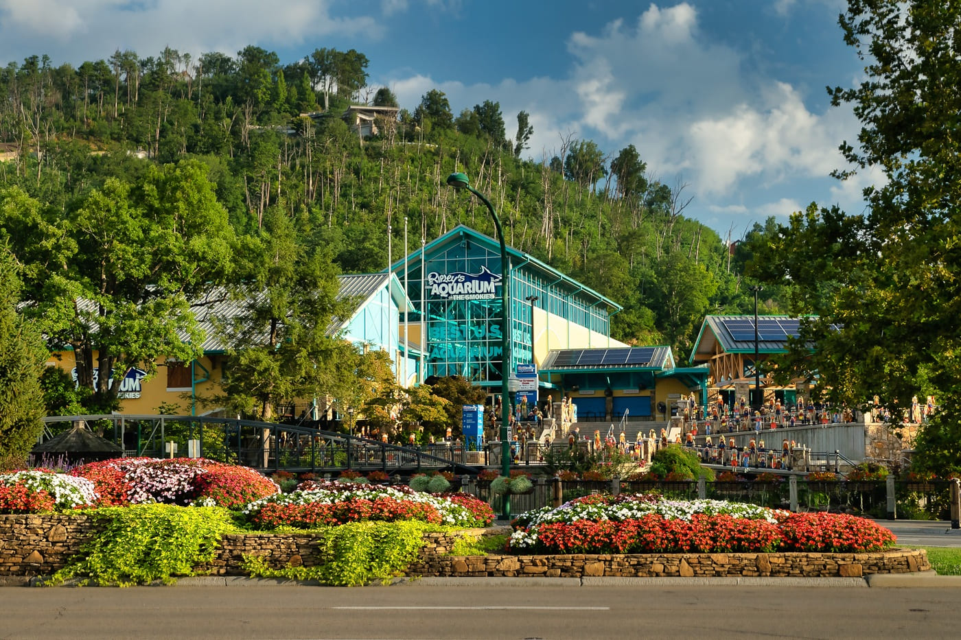 Take the family to Ripley’s Aquarium for an up close look at marine life and one of Gatlinburg’s top attractions.